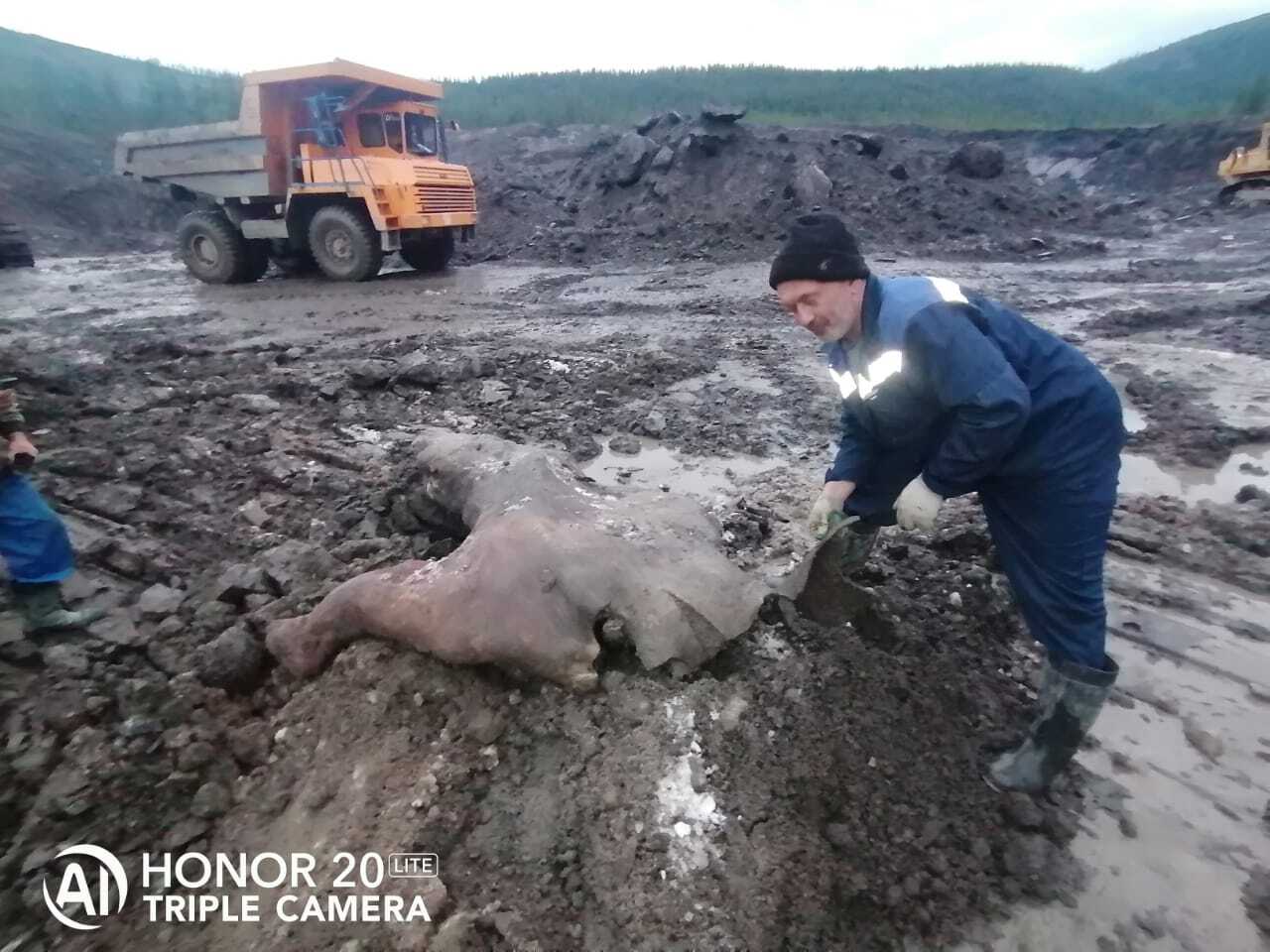 Dinosaur found at Mezhdurechensk open pit - Dinosaurs, Excavations, Mezhdurechensk, Kemerovo region - Kuzbass, Longpost, Repeat