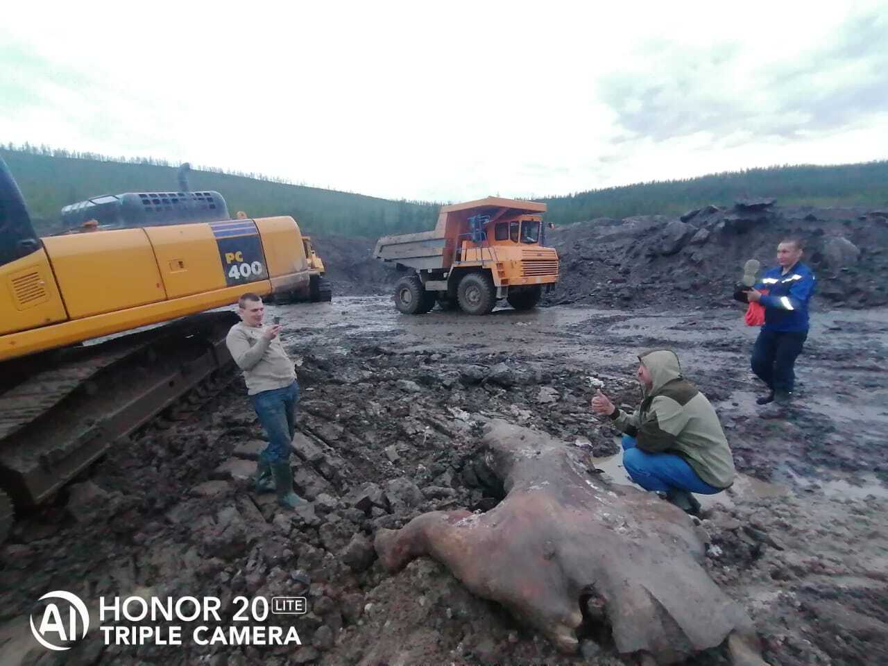 Dinosaur found at Mezhdurechensk open pit - Dinosaurs, Excavations, Mezhdurechensk, Kemerovo region - Kuzbass, Longpost, Repeat