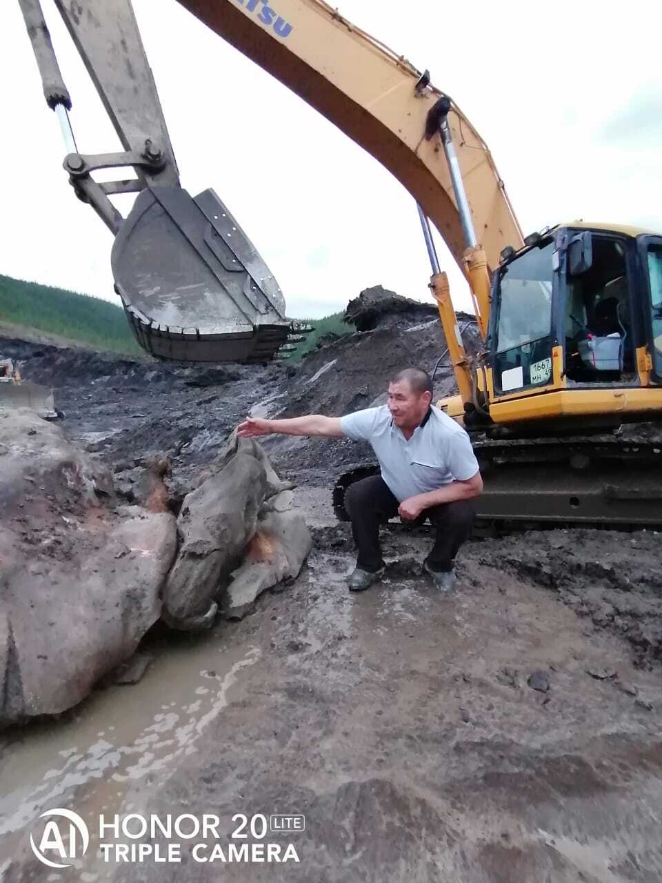 Dinosaur found at Mezhdurechensk open pit - Dinosaurs, Excavations, Mezhdurechensk, Kemerovo region - Kuzbass, Longpost, Repeat