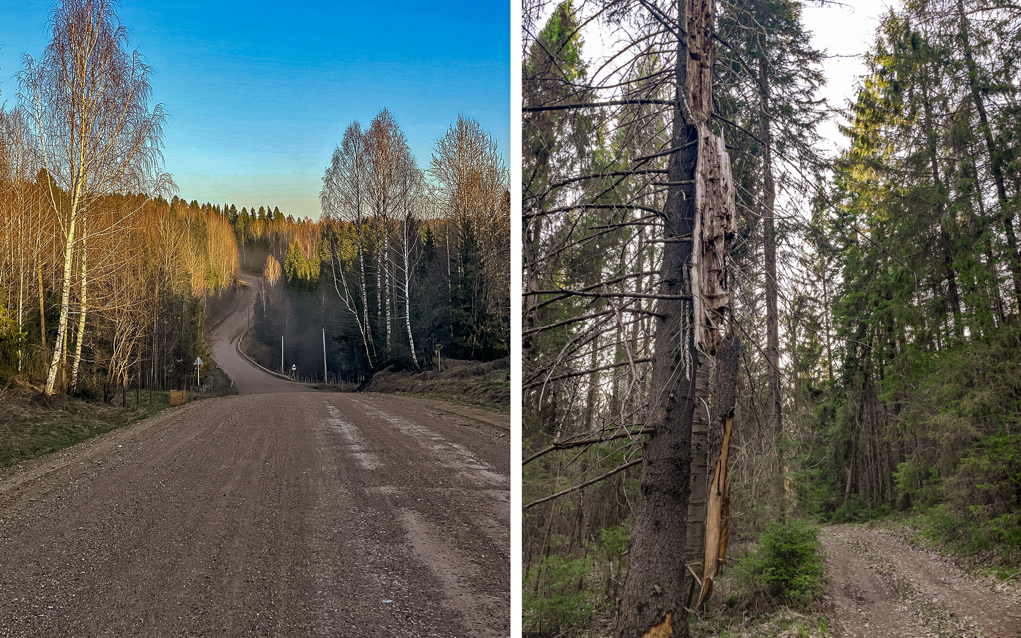 Forest treasure: on the banks of the Kama there are abandoned houses, a canteen, a cinema, a library, and not a soul around... - My, Abandoned, sights, Travels, Local history, Longpost