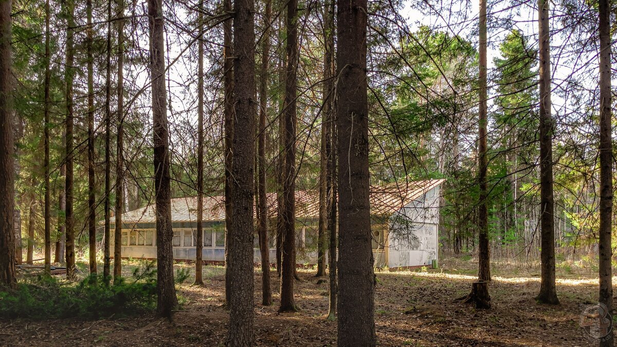 Forest treasure: on the banks of the Kama there are abandoned houses, a canteen, a cinema, a library, and not a soul around... - My, Abandoned, sights, Travels, Local history, Longpost