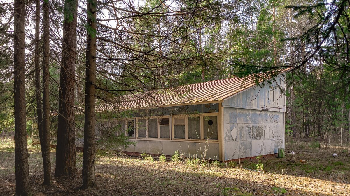 Forest treasure: on the banks of the Kama there are abandoned houses, a canteen, a cinema, a library, and not a soul around... - My, Abandoned, sights, Travels, Local history, Longpost