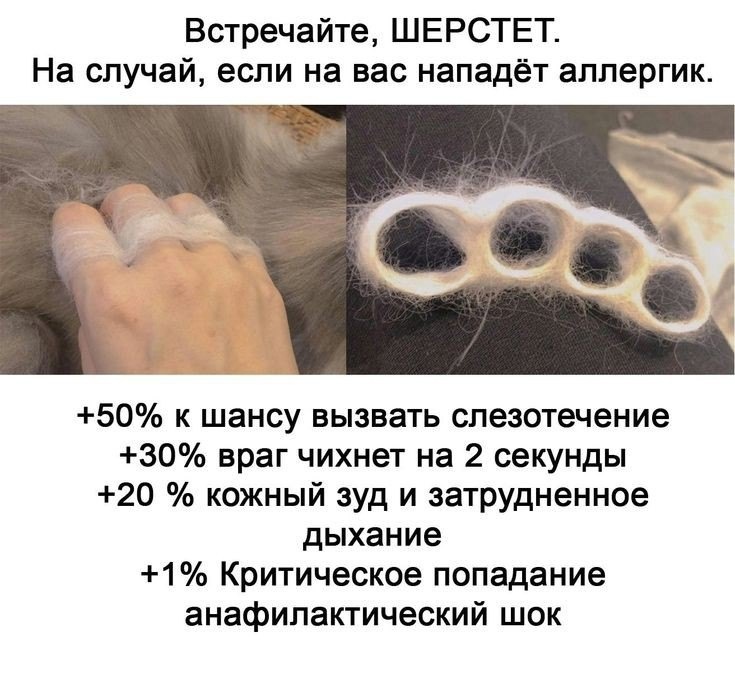 Sherstet - Strange humor, Brass knuckles, Wool, cat, Picture with text