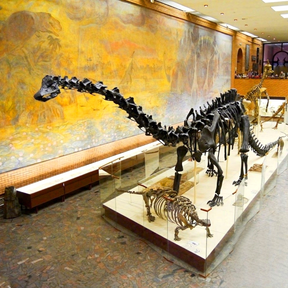 Where in Russia are dinosaurs found? - My, sights, Road trip, Travel across Russia, Travels, Tourism, Dinosaurs, The park, Cities of Russia, Attraction, Auto, Motorists, A selection, Drive, History, Longpost