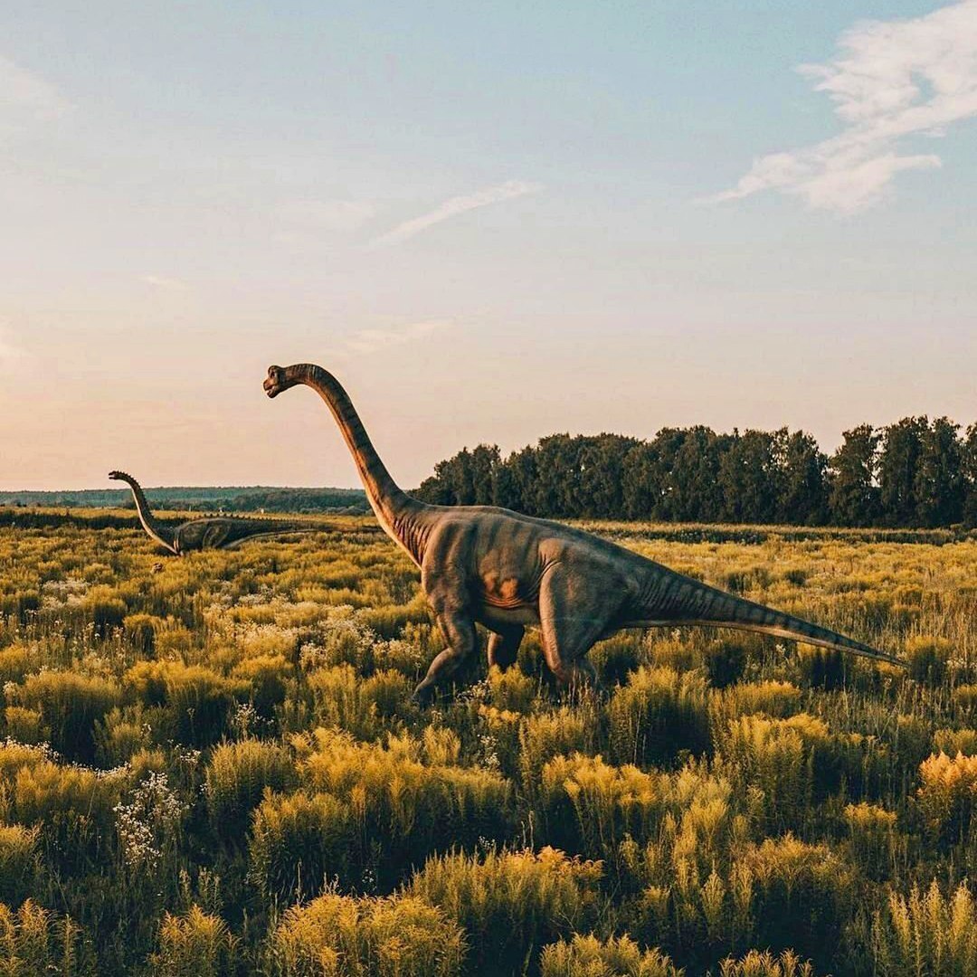 Where in Russia are dinosaurs found? - My, sights, Road trip, Travel across Russia, Travels, Tourism, Dinosaurs, The park, Cities of Russia, Attraction, Auto, Motorists, A selection, Drive, History, Longpost