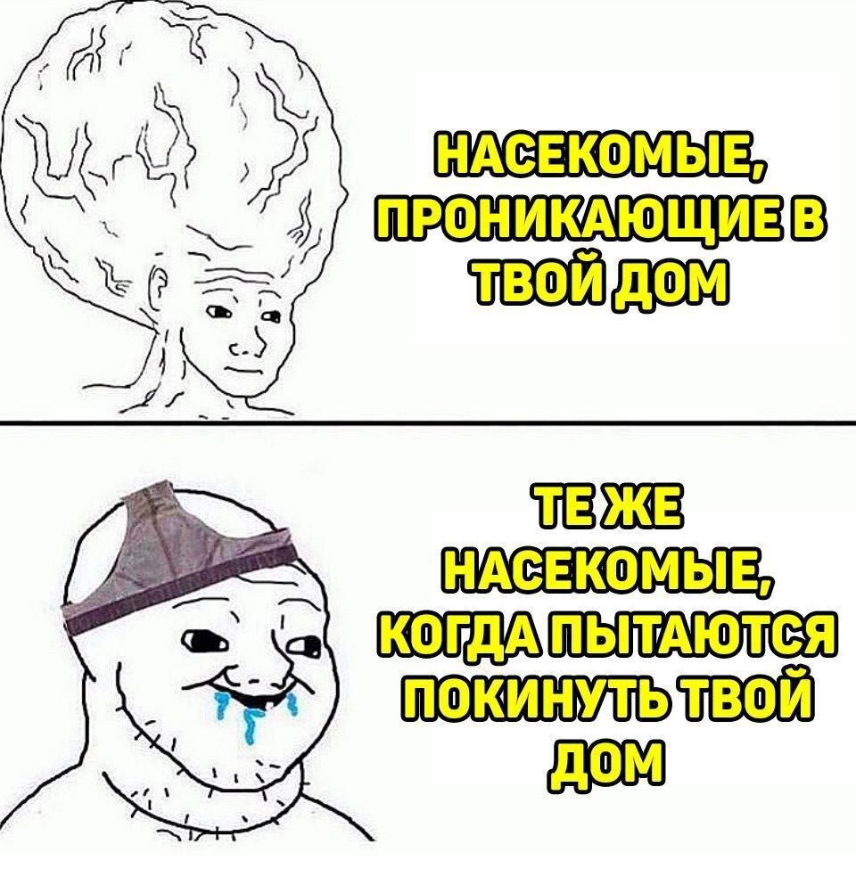 Summer is summer - Humor, Memes, Picture with text, Insects, Mosquitoes, Муха