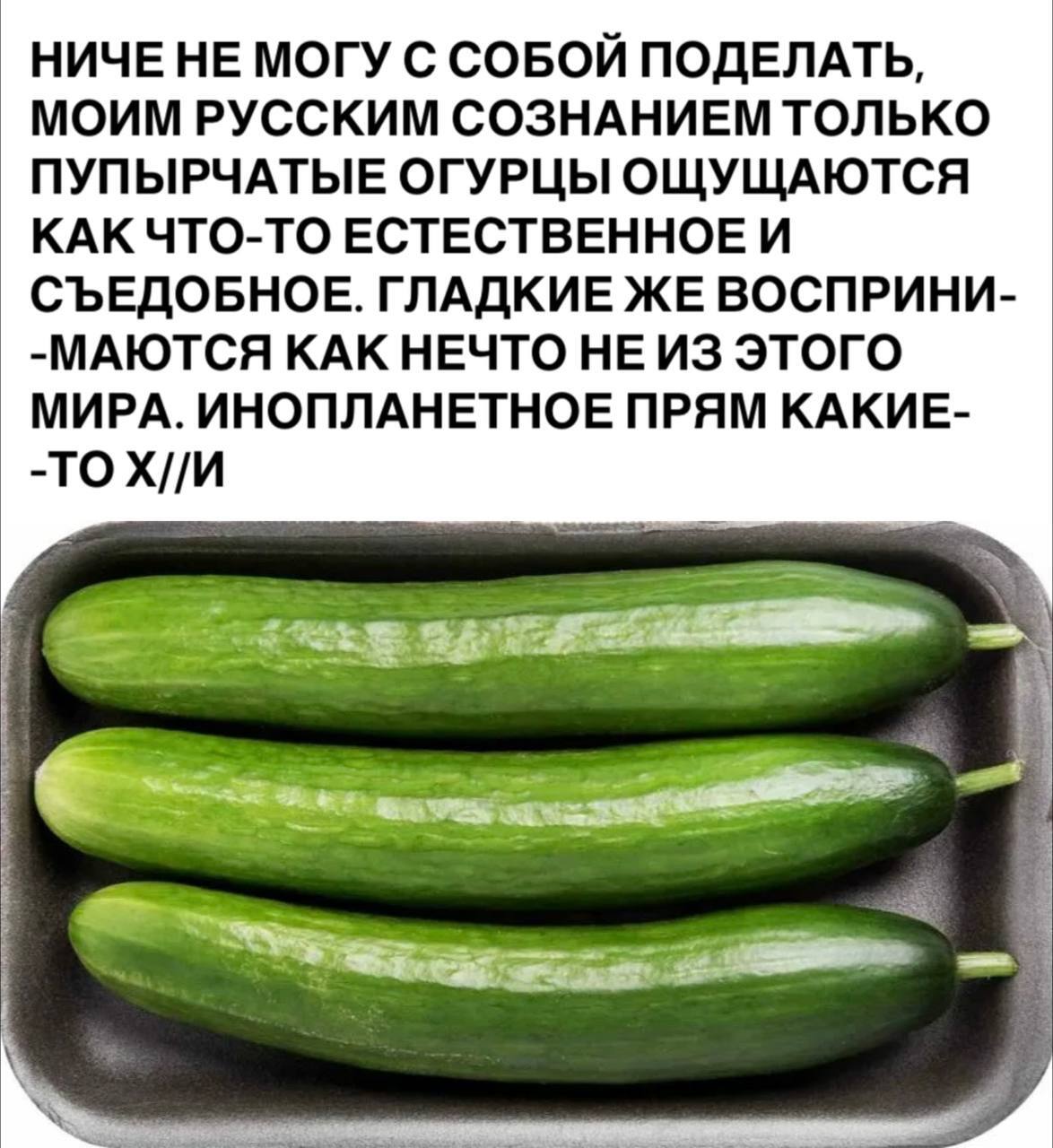 When size doesn't matter - Picture with text, Humor, Cucumbers, Mat, Telegram (link)