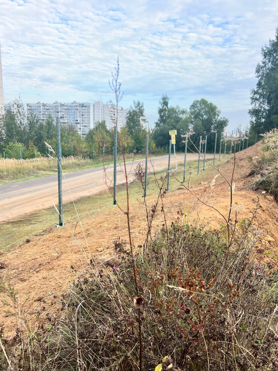 Potemkin villages in the protected area “Krylatskie Kholmy” in Krylatskoye as part of the construction of a sports cluster on the lands of the protected area - Krylatskoye, Sergei Sobyanin, Vladimir Putin, Ecological catastrophy, Ecology, The crime, wildlife, Nature, City walk, Town, Moscow, Life stories, Direct line with Putin, Video, Vertical video, Telegram (link), Longpost