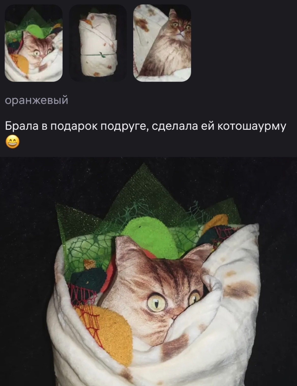 Cat shawarma as a gift - Memes, Picture with text, Milota, Humor, cat, Presents