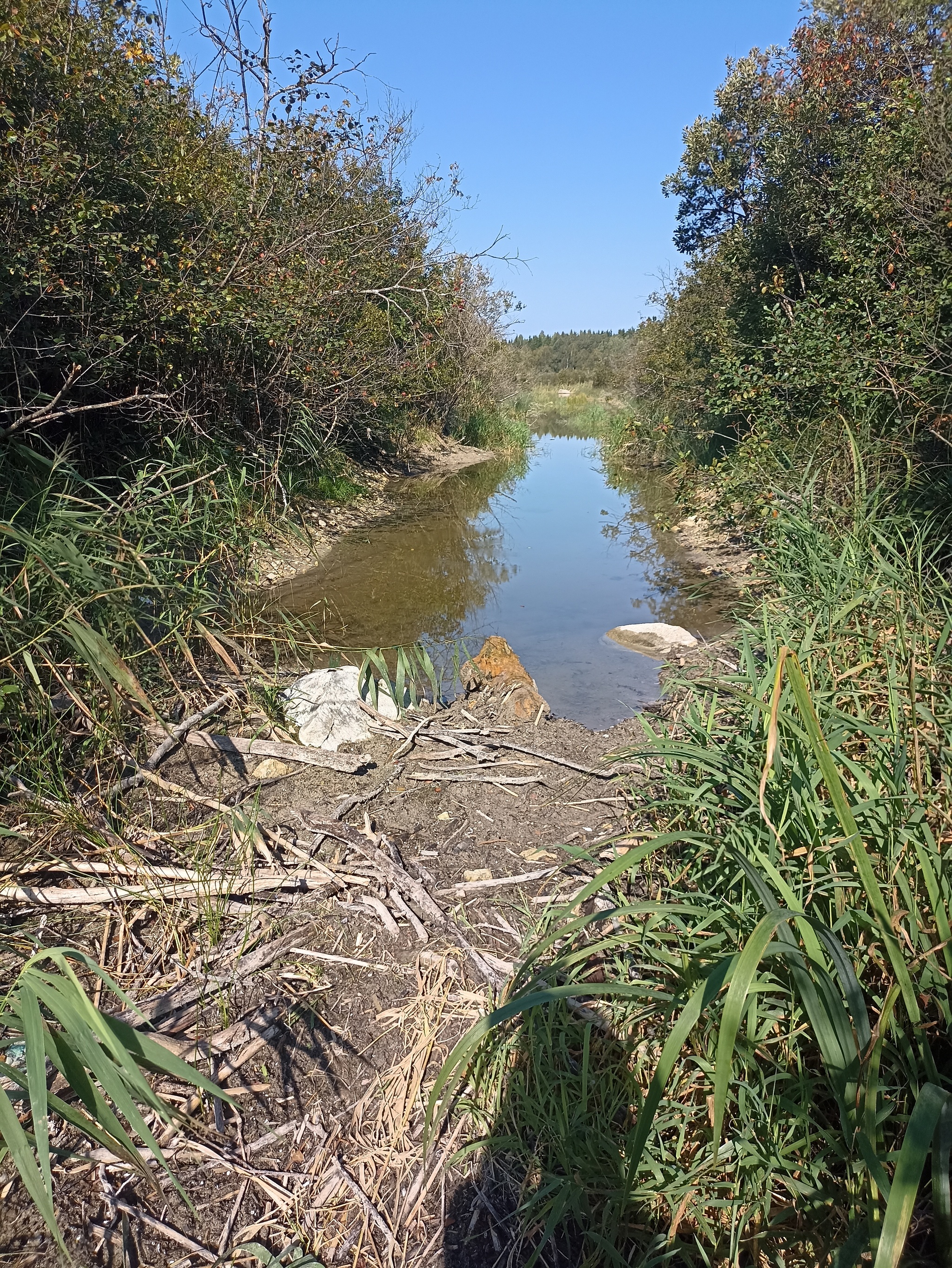 The Oredezh River: from source to mouth - My, Hike, Travel across Russia, The photo, Leningrad region, Kayak, Kayaking, Longpost