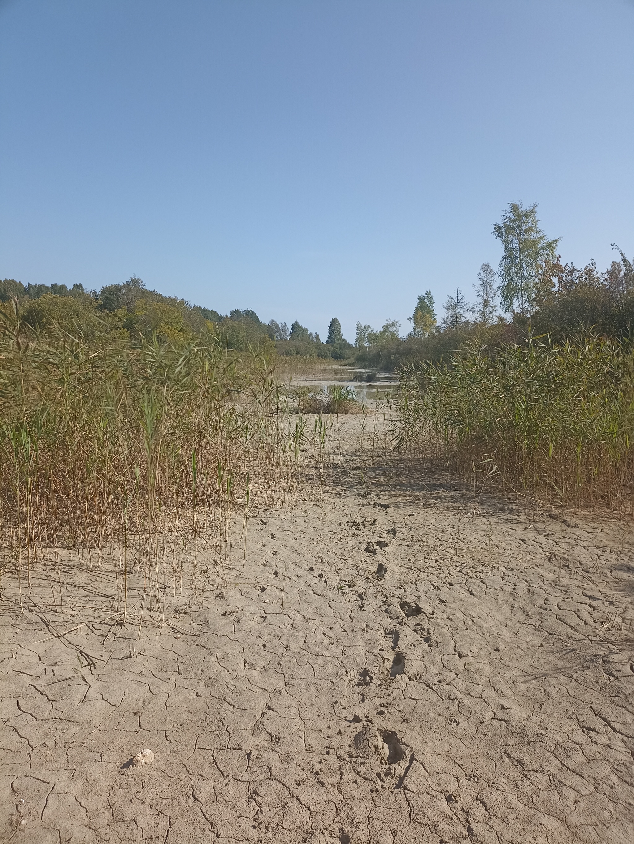 The Oredezh River: from source to mouth - My, Hike, Travel across Russia, The photo, Leningrad region, Kayak, Kayaking, Longpost