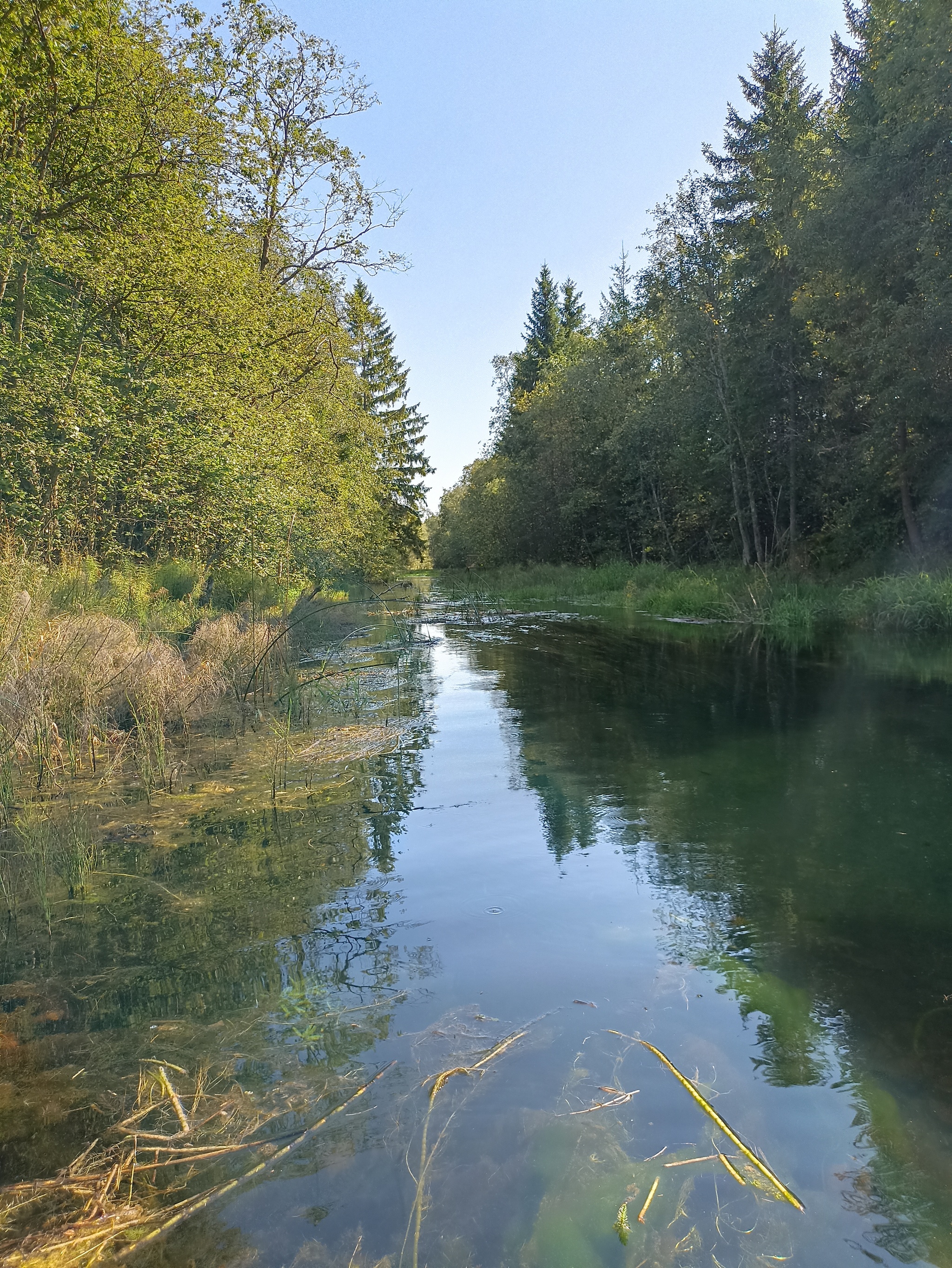 The Oredezh River: from source to mouth - My, Hike, Travel across Russia, The photo, Leningrad region, Kayak, Kayaking, Longpost