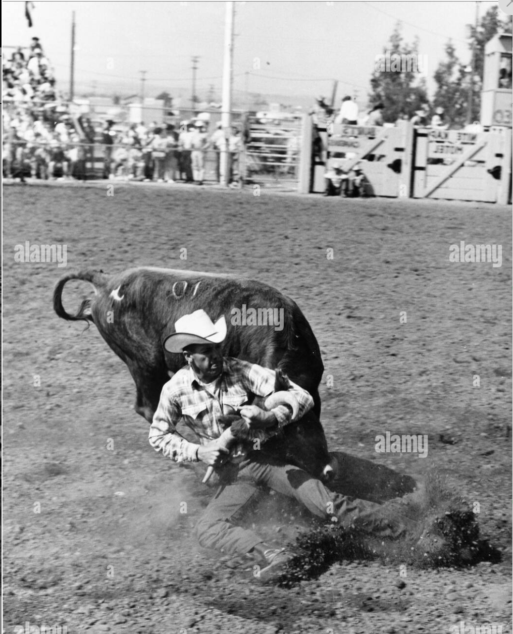 How I Went to the Rodeo 1: Cowboys, Jordan Peterson and Hobbyhorsing - My, USA, Living abroad, Rodeo, Cowboys, Wild West, Travels, Video, Youtube, Longpost