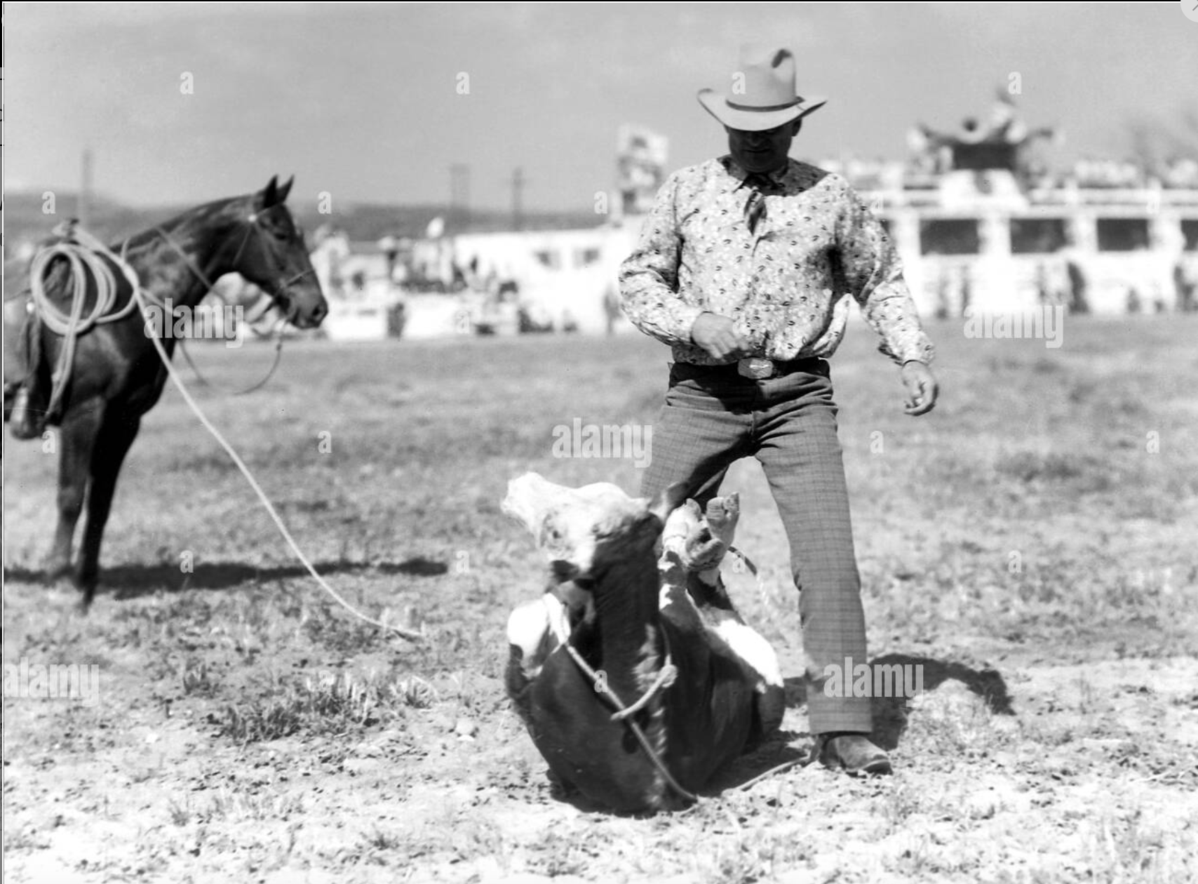 How I Went to the Rodeo 1: Cowboys, Jordan Peterson and Hobbyhorsing - My, USA, Living abroad, Rodeo, Cowboys, Wild West, Travels, Video, Youtube, Longpost