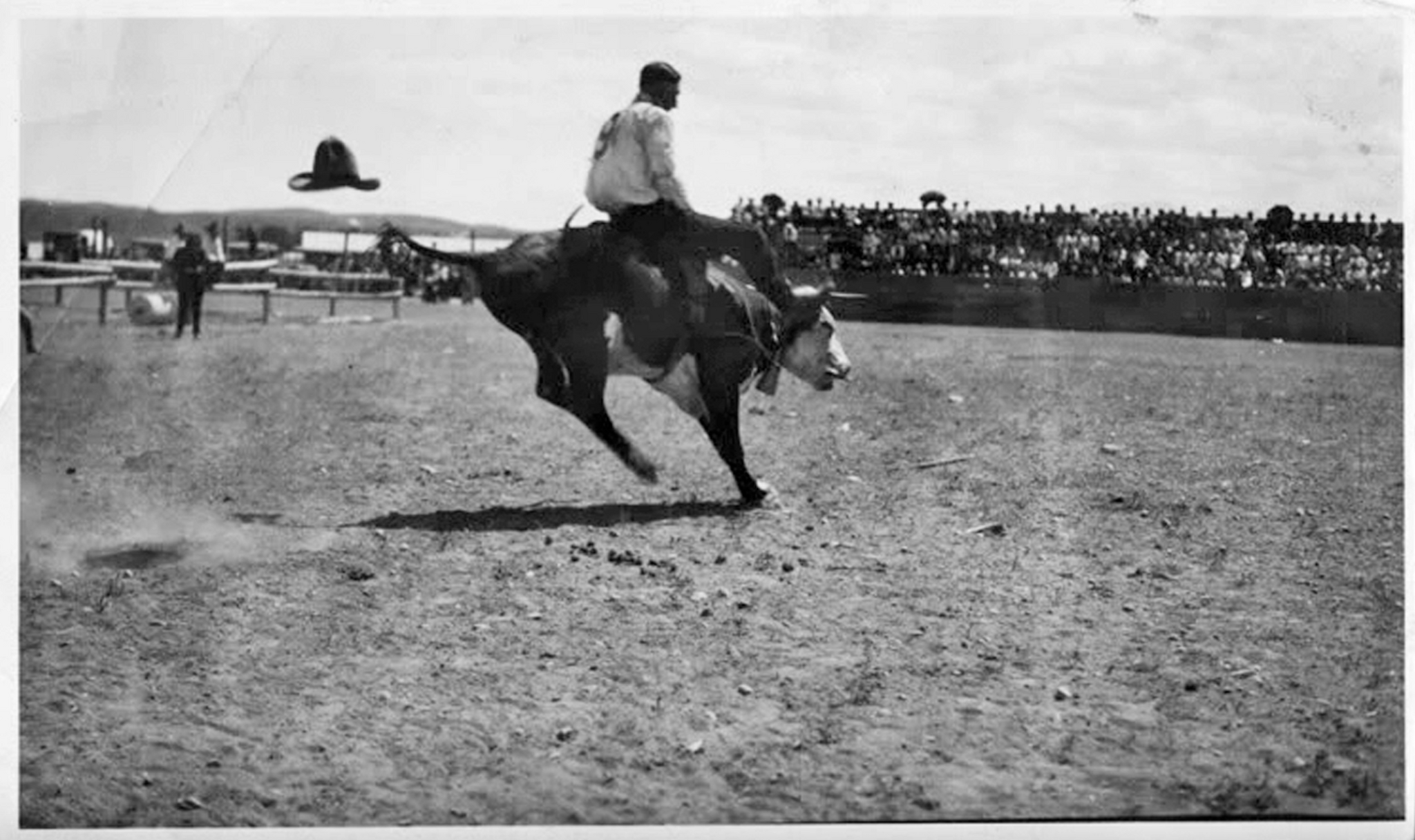 How I Went to the Rodeo 1: Cowboys, Jordan Peterson and Hobbyhorsing - My, USA, Living abroad, Rodeo, Cowboys, Wild West, Travels, Video, Youtube, Longpost