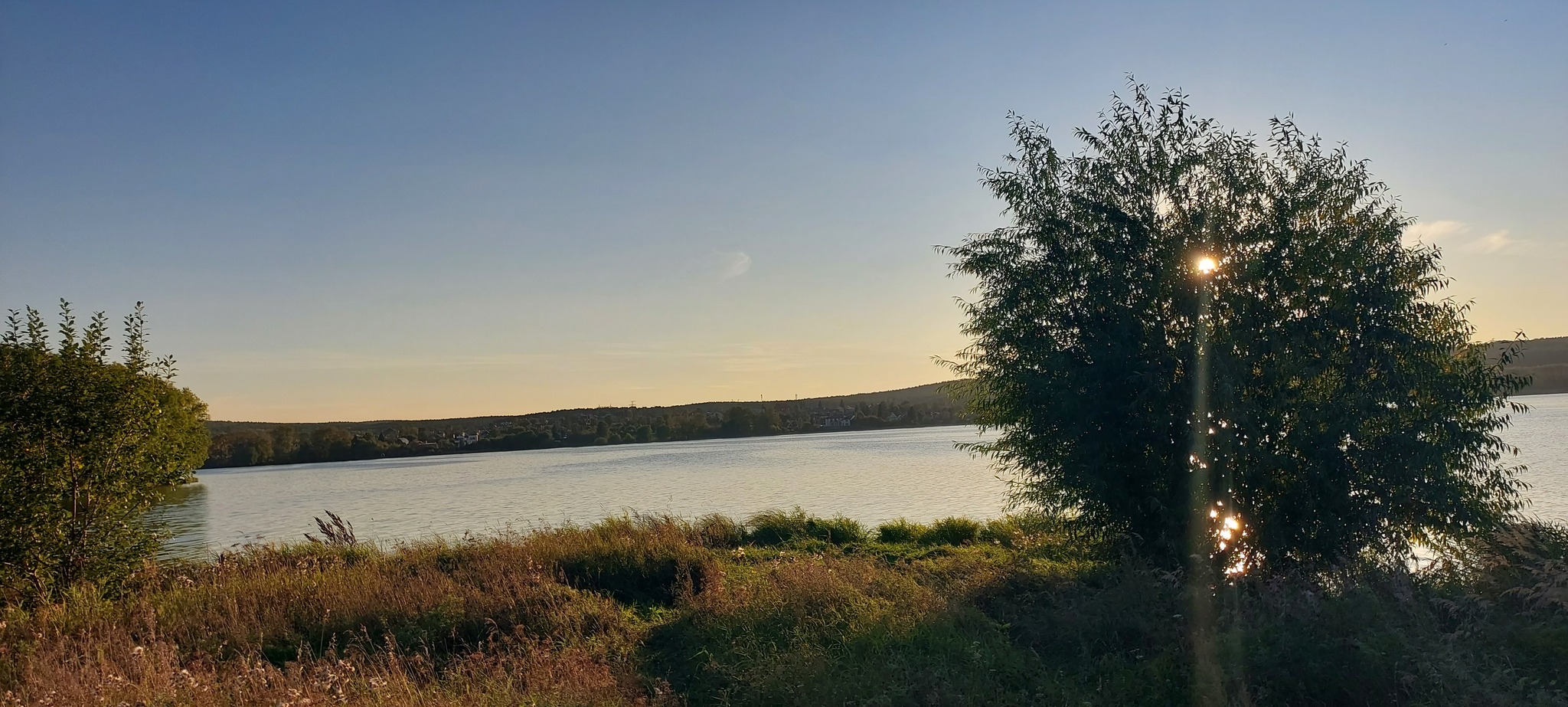 Landscape from an evening walk - My, The photo, Video, Walk, Vertical video, Longpost