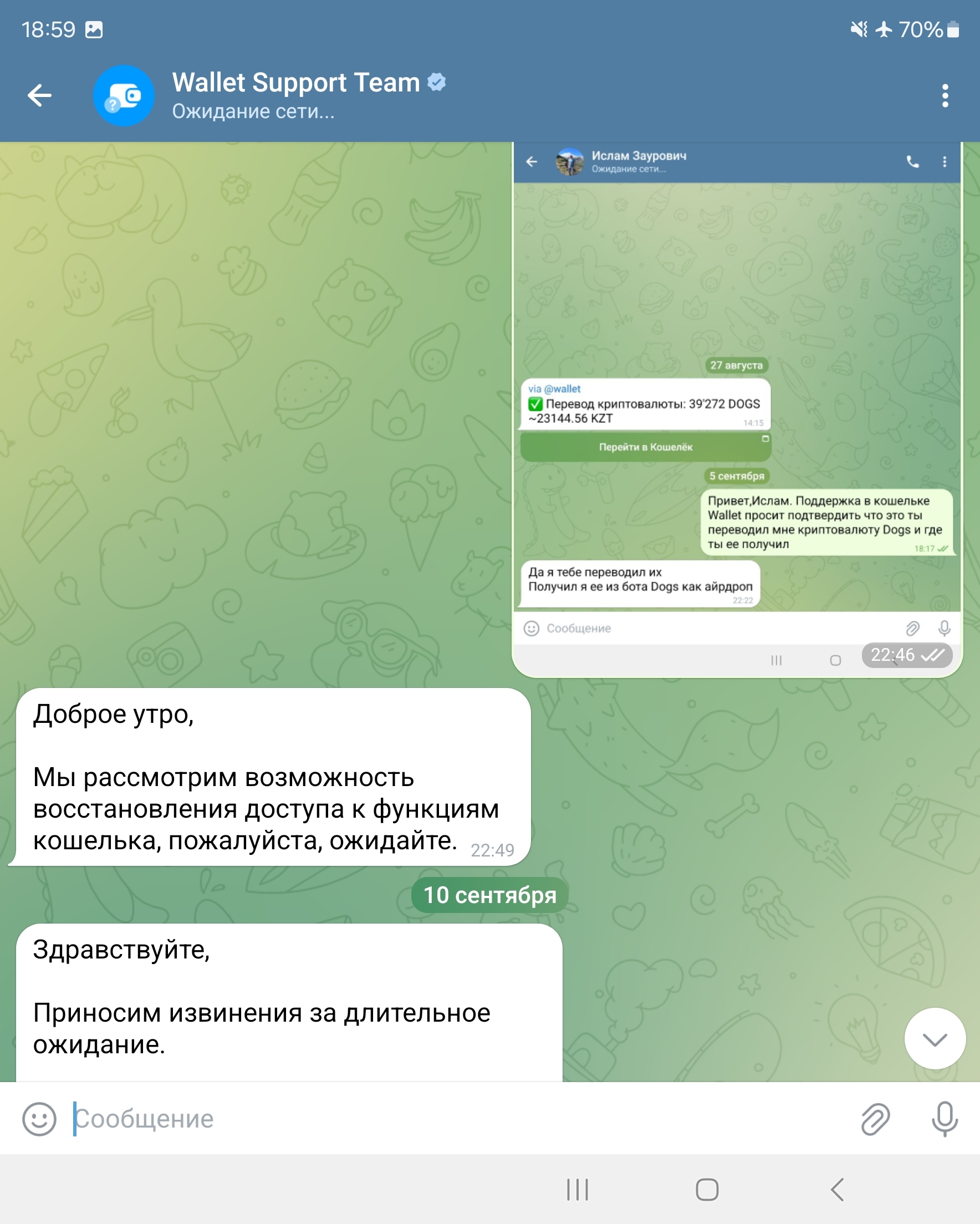 Telegram Wallet scammers stole my assets - My, Scammers, Fraud, Pavel Durov, Telegram, Telegram bot, Cryptocurrency, Longpost, Negative