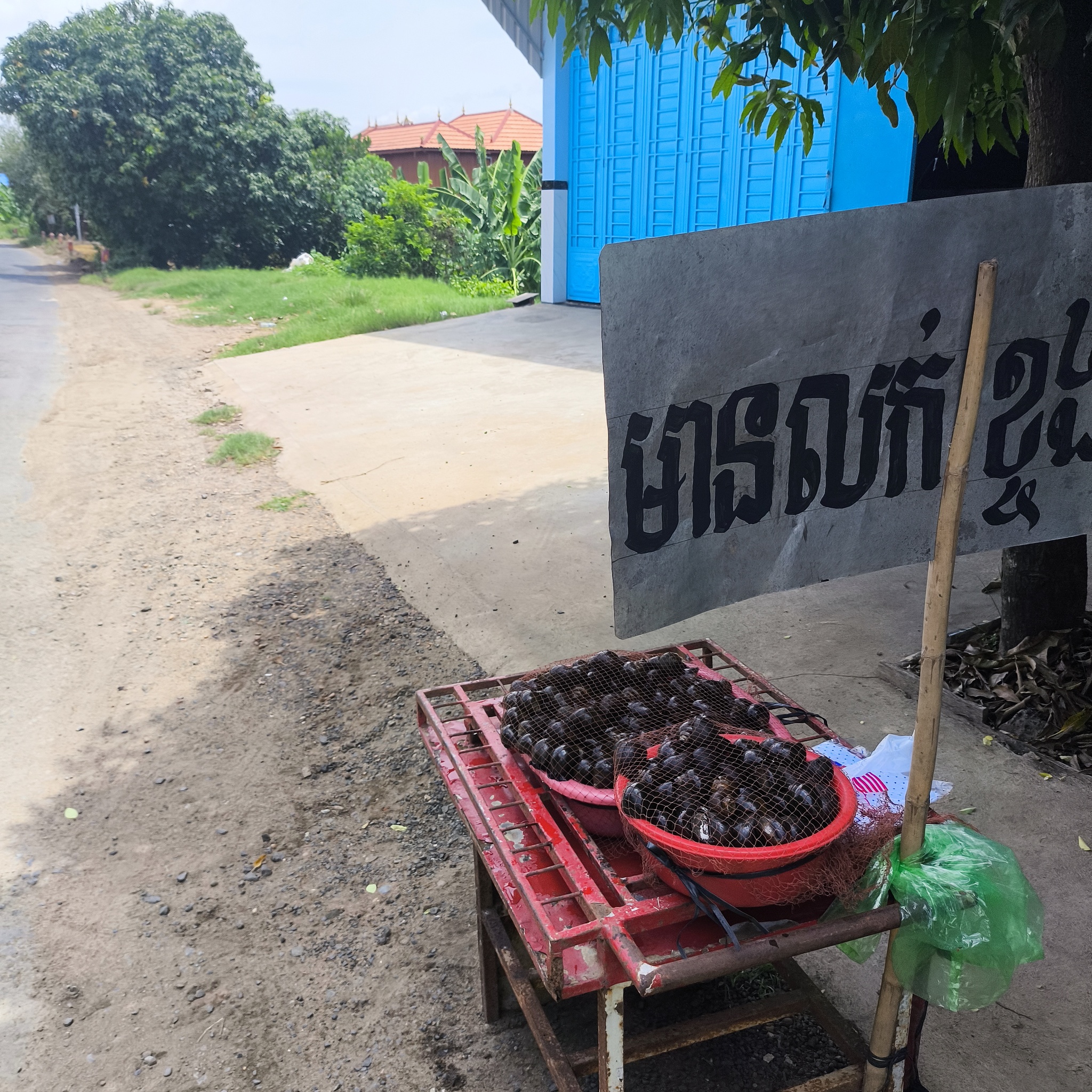 Melanesia Travel Diary. Cambodia. Day 82. Being taken somewhere - My, Life stories, Travels, Drive, Around the world, Informative, Hitch-hiking, Cambodia, Video, Longpost, The photo