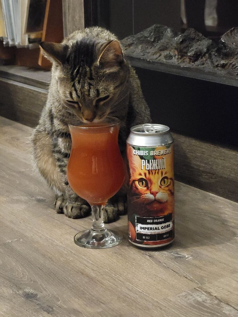 A Big Review of Beer with Cats on Labels - Beer, Craft beer, cat, Small cats, Alcohol, Beverages, Review, Overview, Yandex Zen (link), Longpost