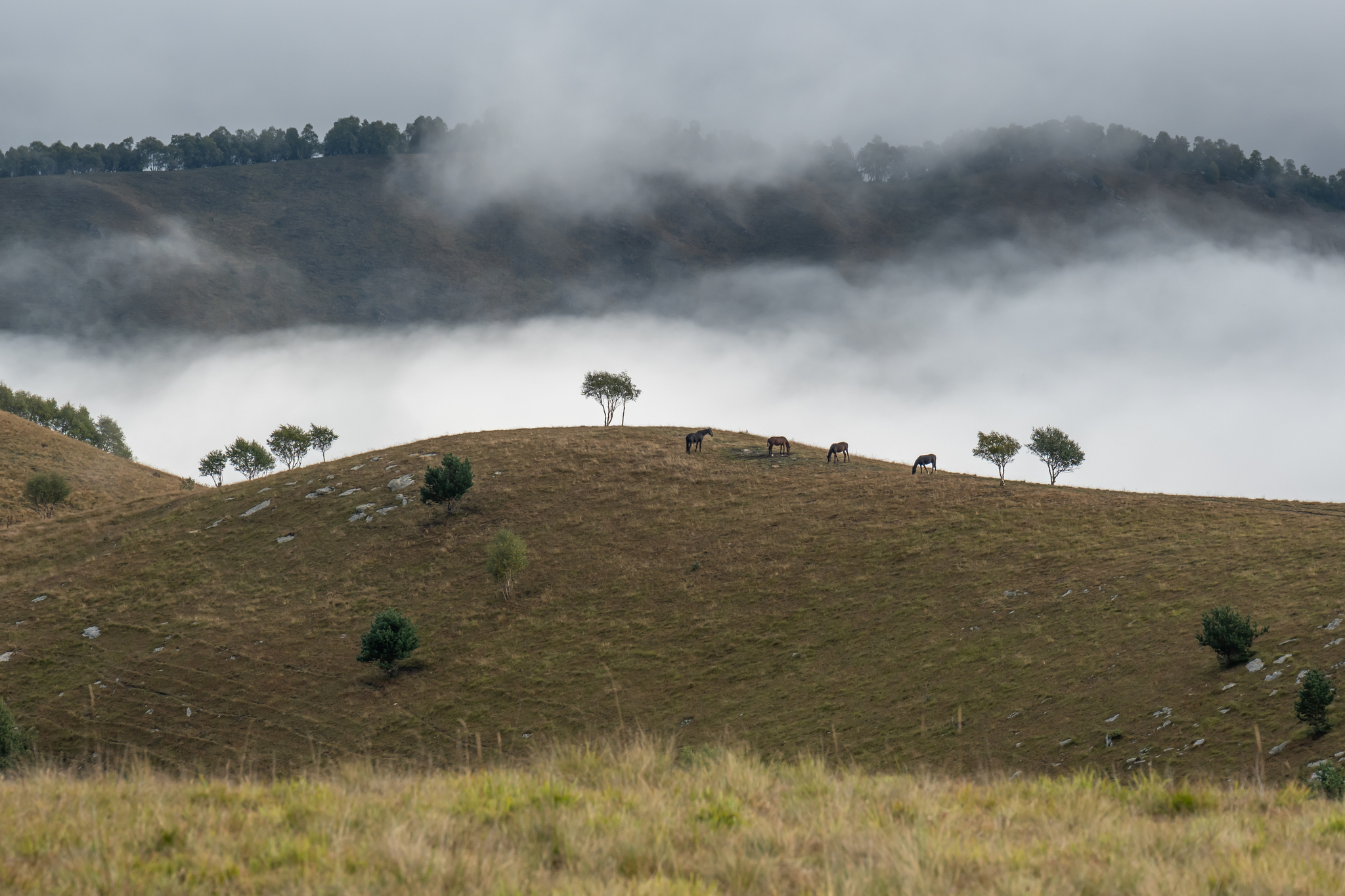 On the way to the Dzhily-su tract - My, The mountains, Caucasus mountains, Fog, Beautiful view, Jily-Su, Longpost