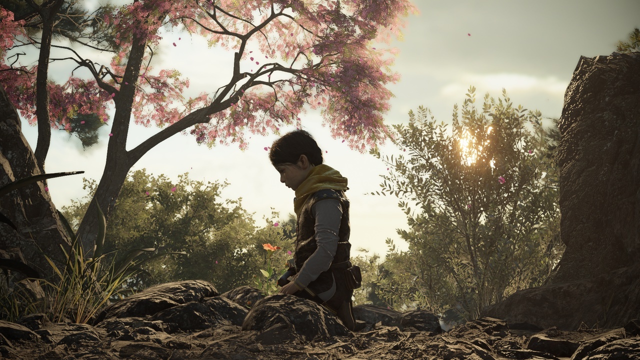 A Plague Tale: Requiem (2022) - My, Drama, Computer games, A Plague Tale: Requiem, Review, Longpost