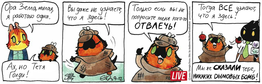 Koteikiny News from 09/12/2024 - My, Translation, Koteikin news (comic), Comics, cat