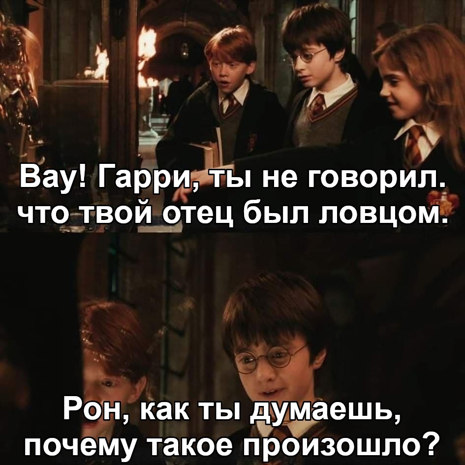 As clever as Harry - Harry Potter, James Potter, Ron Weasley, Catcher, Picture with text, Translated by myself, VKontakte (link)