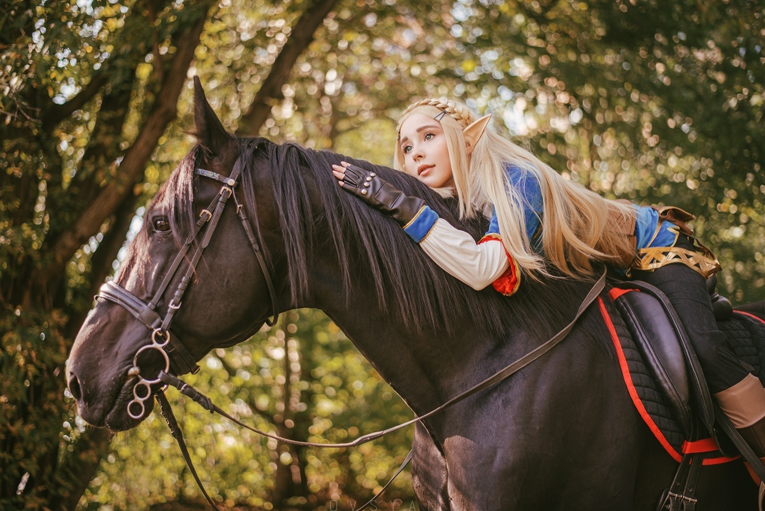 Zelda by Polina Shlyachina - The photo, Cosplay, Cosplayers, PHOTOSESSION, Princess zelda, The legend of zelda, Horses, Longpost