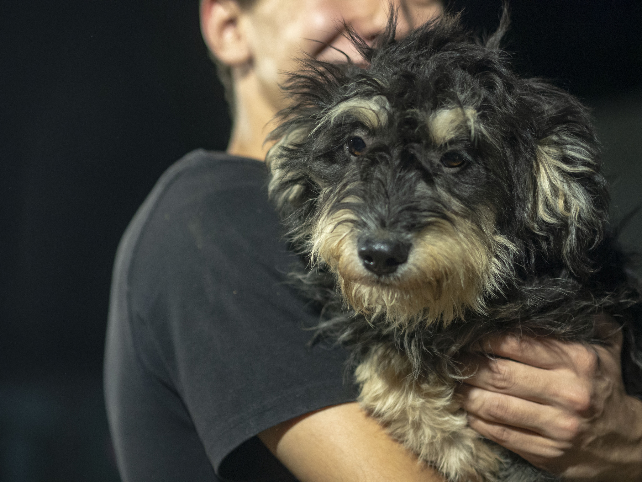 The puppy dreams of going into his house after an evening walk. And a room in the shelter awaits him - Puppies, Dog, In good hands, Animal shelter, Moscow region, Longpost