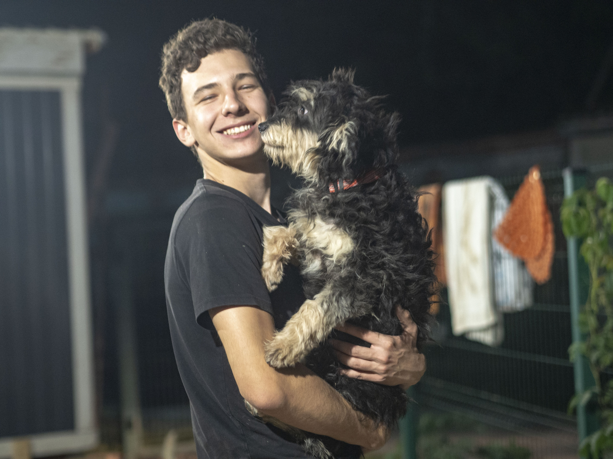 The puppy dreams of going into his house after an evening walk. And a room in the shelter awaits him - Puppies, Dog, In good hands, Animal shelter, Moscow region, Longpost