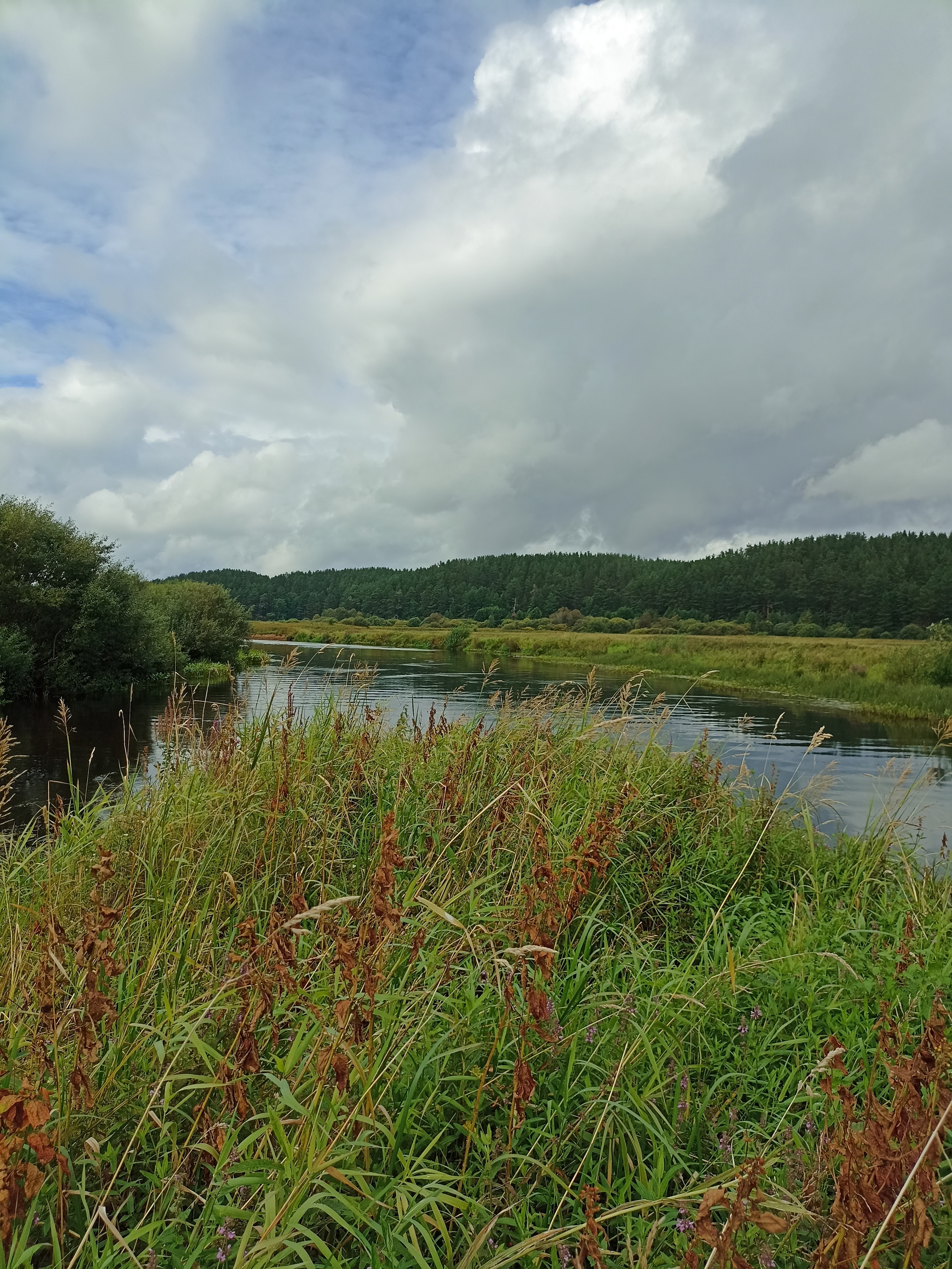 The Oredezh River: from source to mouth - My, Hike, Travel across Russia, The photo, Leningrad region, Kayak, Kayaking, Longpost