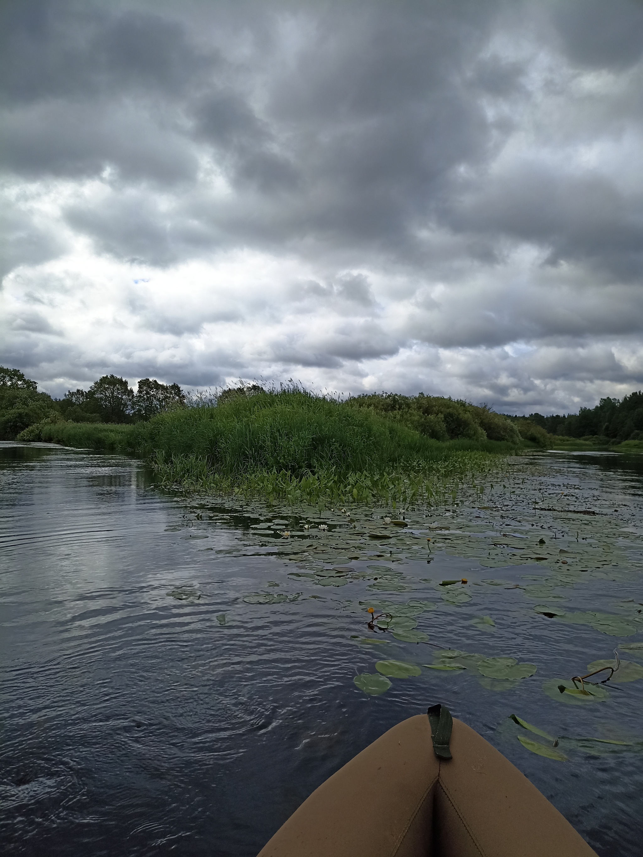 The Oredezh River: from source to mouth - My, Hike, Travel across Russia, The photo, Leningrad region, Kayak, Kayaking, Longpost