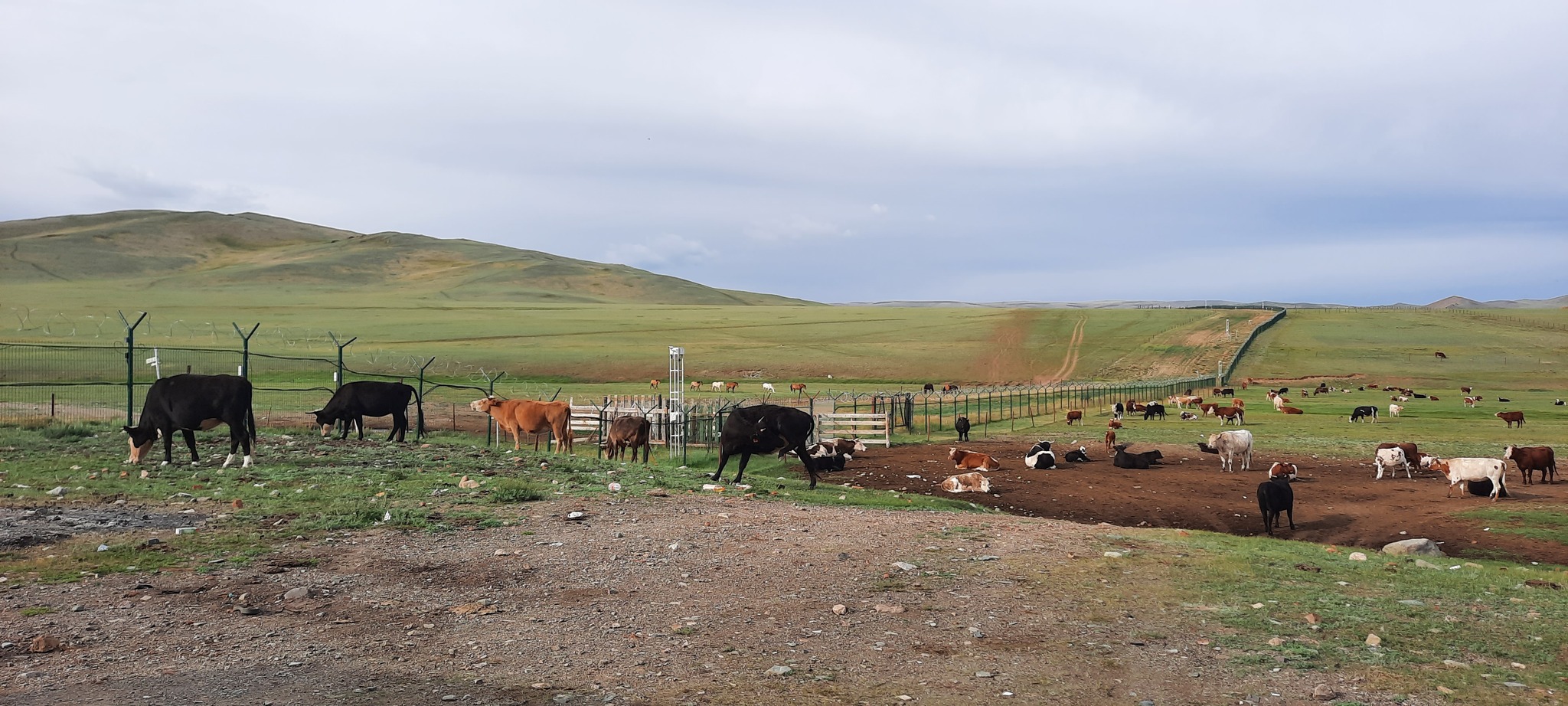 Mongolia on mad loaves - Mongolia, Vacation, Road trip, Longpost