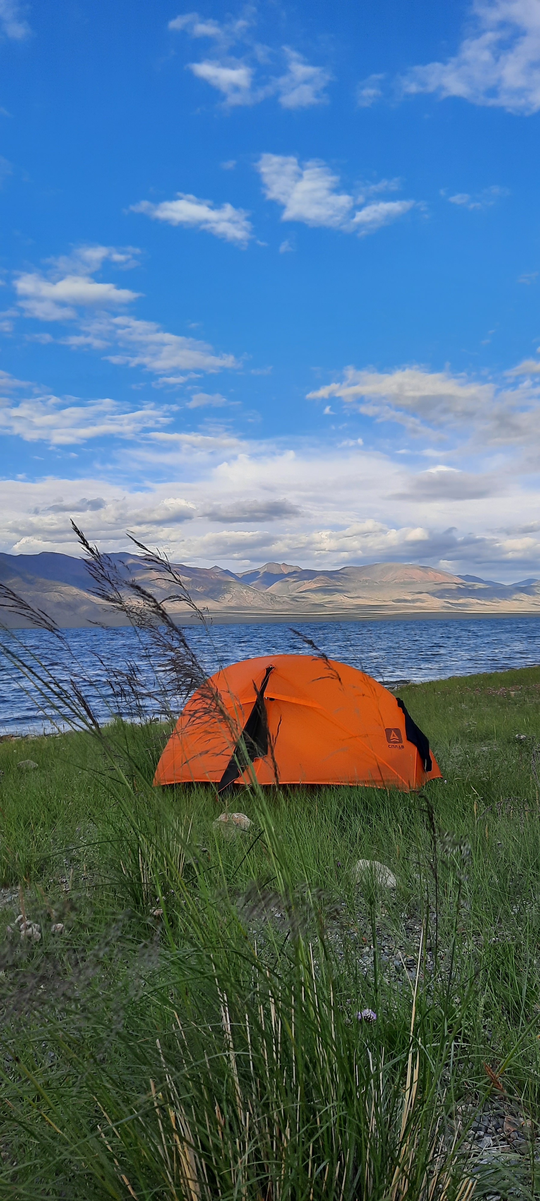 Mongolia on mad loaves - Mongolia, Vacation, Road trip, Longpost