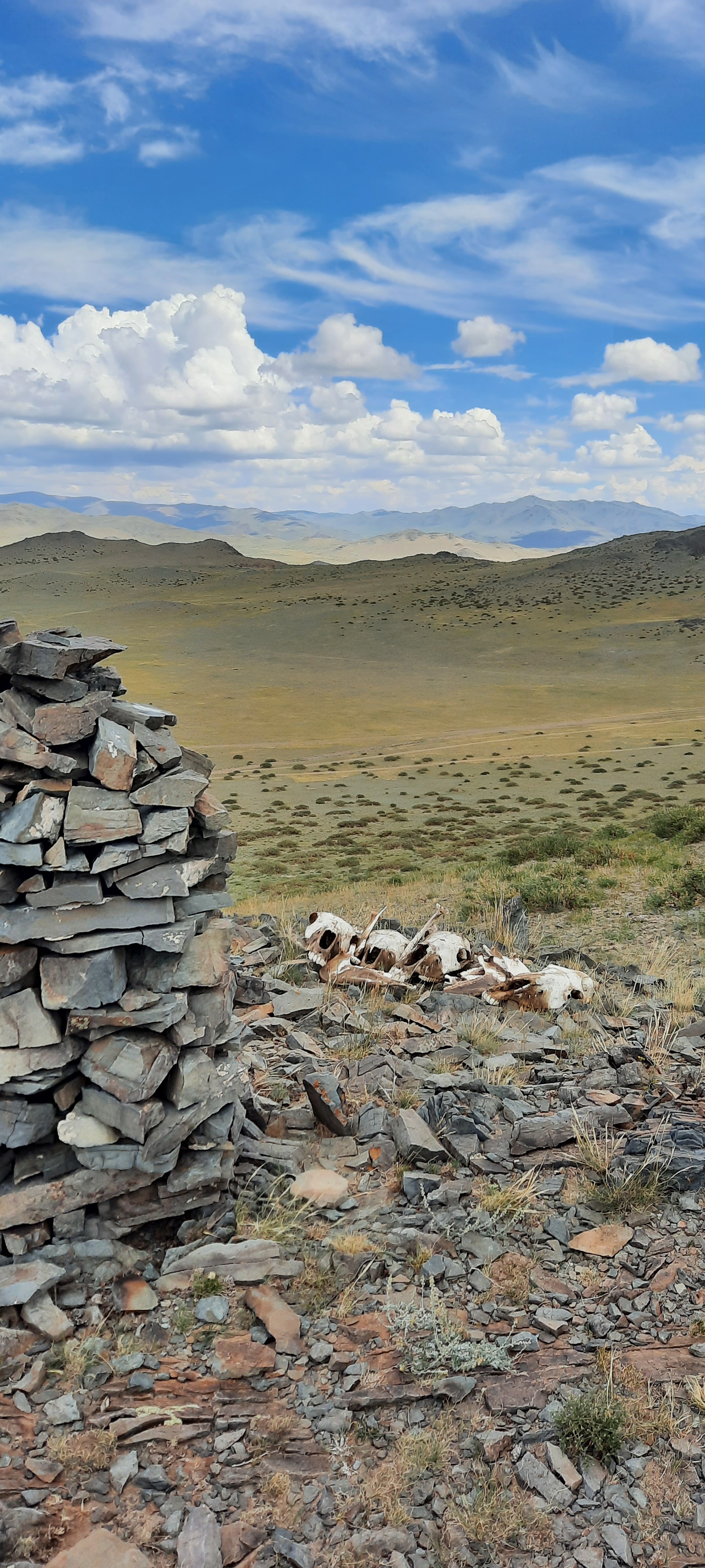 Mongolia on mad loaves - Mongolia, Vacation, Road trip, Longpost