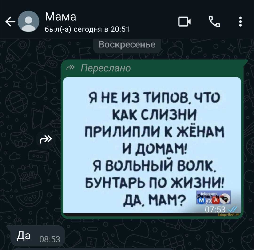 ...да, мам? - Мама, Троллинг, Шутник, Удалось