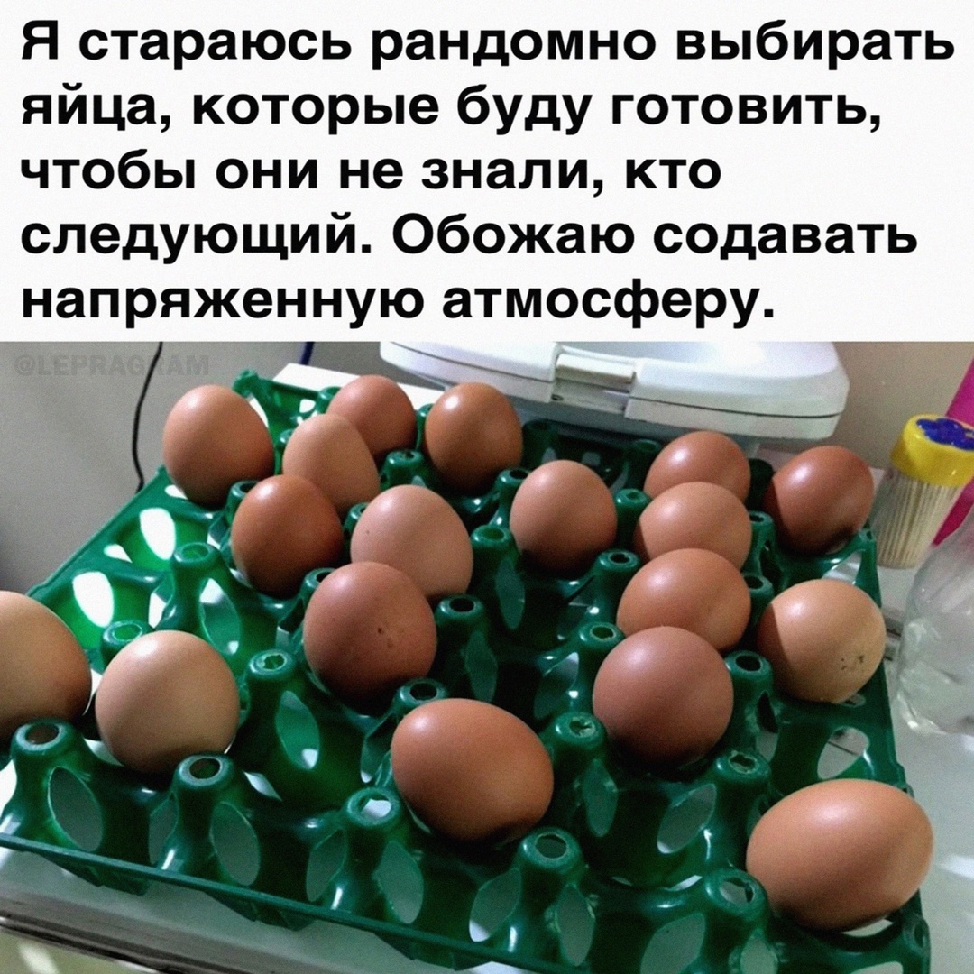 Random - From the network, Picture with text, Humor, Eggs