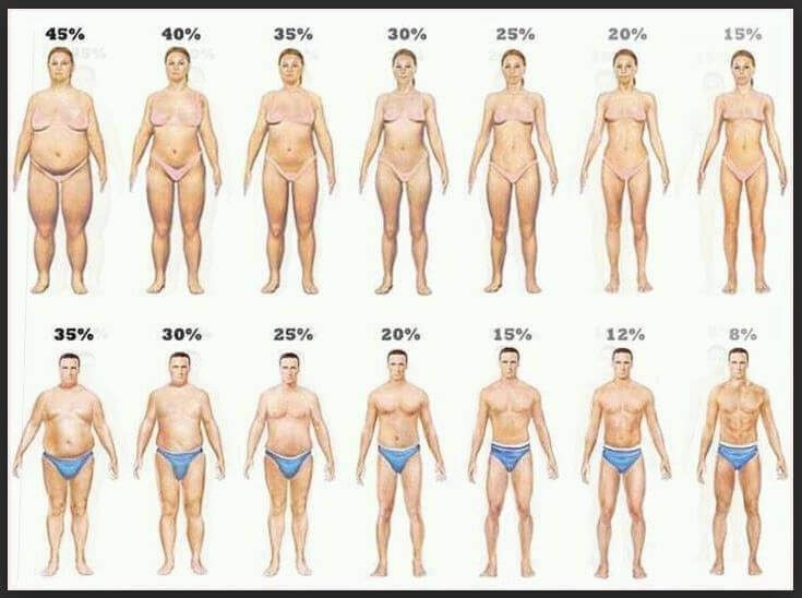 Your choice? - My, Short post, Excess weight, beauty, Diet, Question, Proper nutrition, Healthy lifestyle, Nutrition, Insult