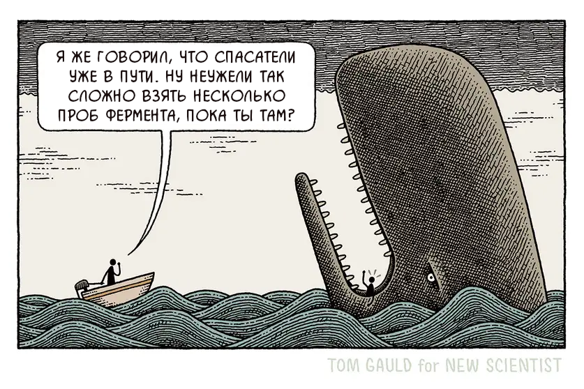 Проба всё, жизнь ничто - Tom gauld, Комиксы, Перевел сам