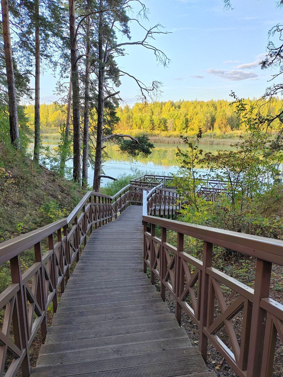 Гилевская роща... - Моё, Фотография, Тюмень, Мобильная фотография, Парк, Прогулка, Гилевская роща, Бытовуха, Длиннопост