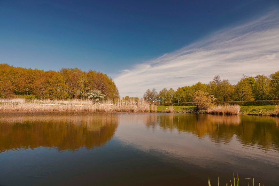 Autumn Reflections - My, The photo, Netherlands (Holland), Nature, Reflection, Autumn