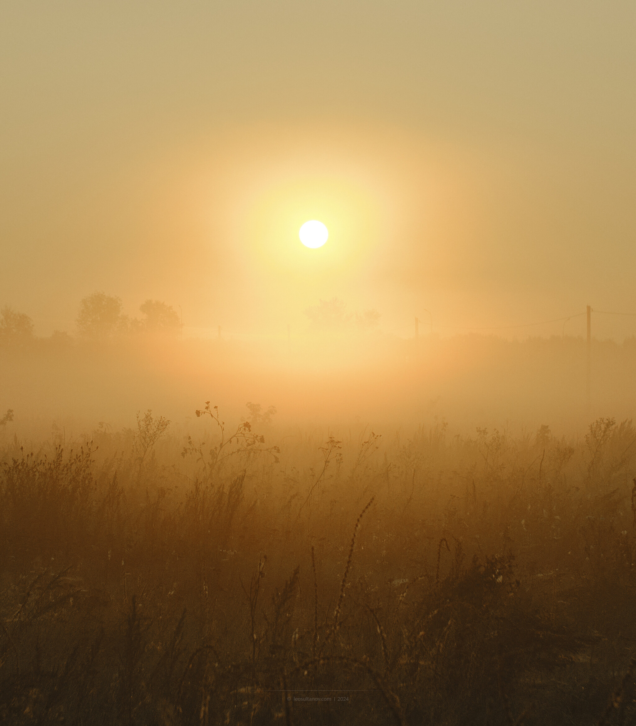 5am ??in the foggy Alps - My, Photographer, The photo, Morning, Village, Village, Fog, The sun, August, Relaxation, Walk, Longpost