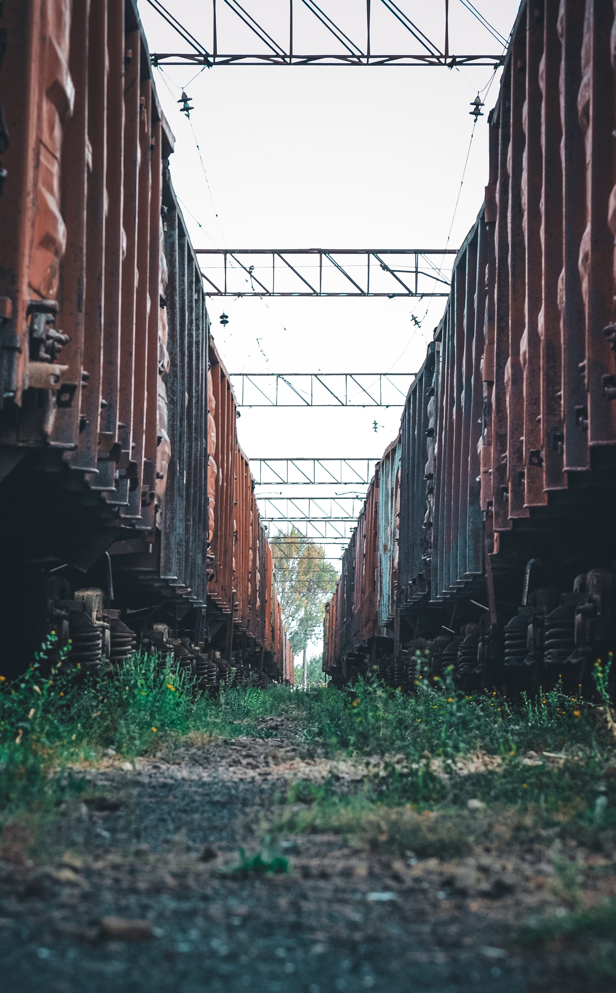 Train ride - My, The photo, Anthracite, Nikon d3100, Greenery, Autumn, Railway, Walk, Longpost