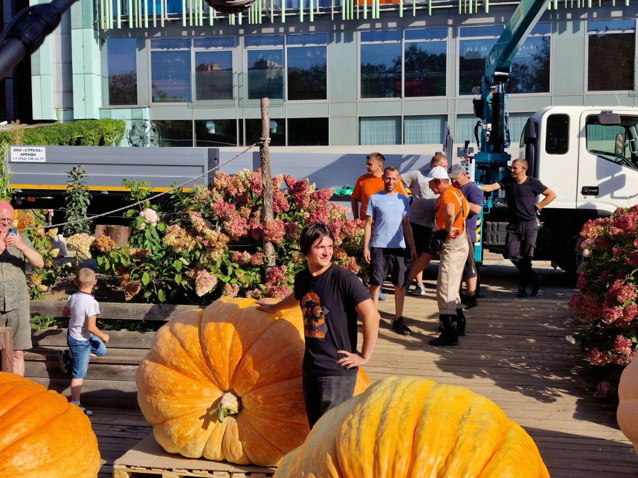 I grew the heaviest pumpkin in Russia - My, Vegetables, Gardening, Garden, Plants, Garden, Big size, Longpost, Pumpkin, Giants