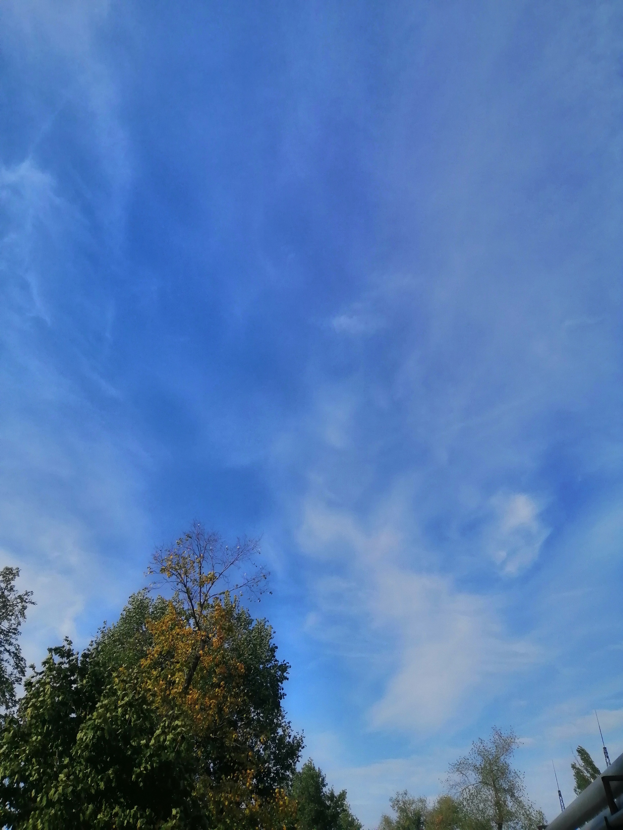 Autumn. September - My, Autumn, September, Sky, Sheet, Autumn leaves, Leaves, Clouds, Apples, Longpost