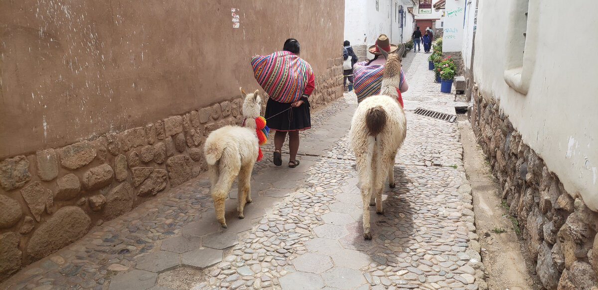 Solo Cycling Expedition in South America. Part 3 Peru. Chapter 107. Cusco - My, Travels, Bike trip, Solo travel, A bike, South America, Peru, Cusco, Bike ride, Cyclist, Andes, The mountains, Road, The Incas, Longpost