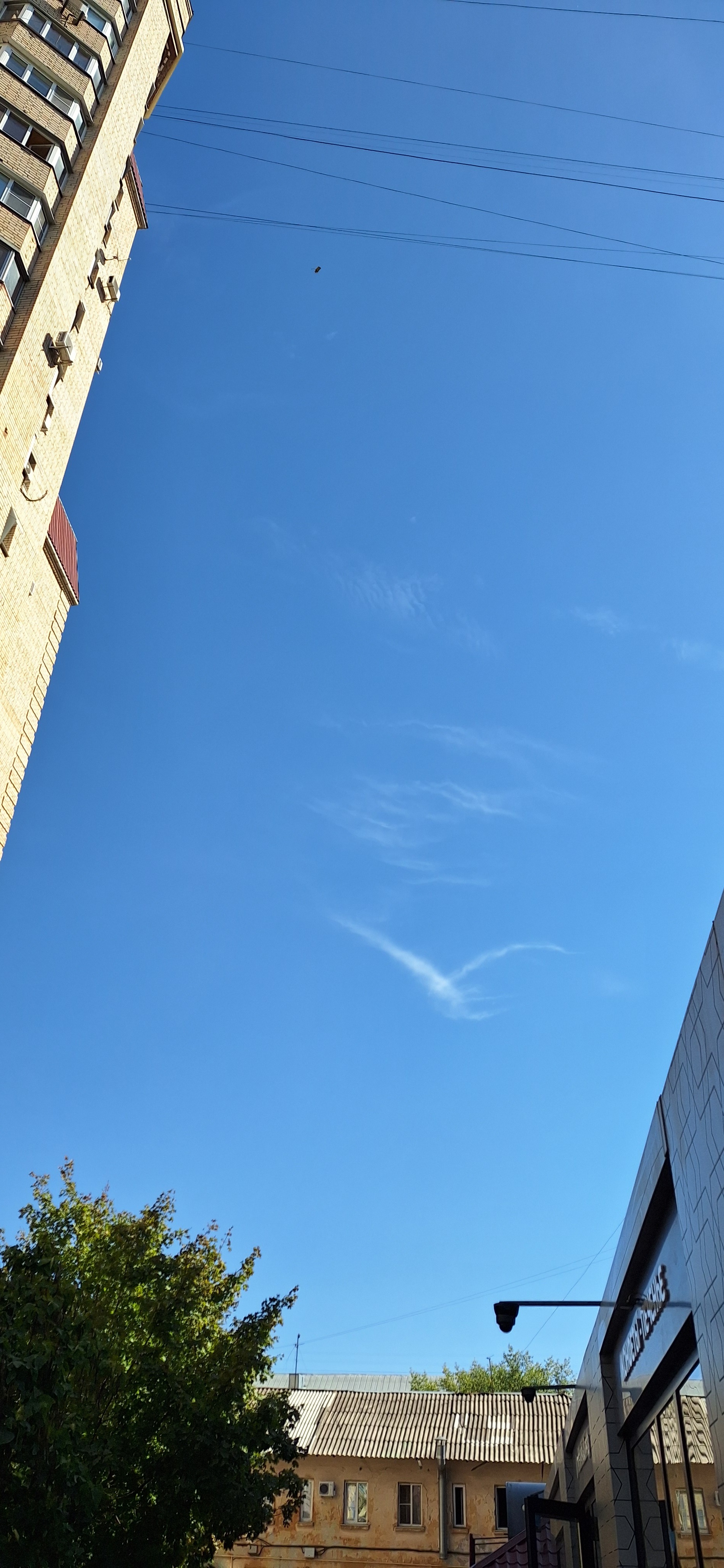 Cloud-bird - My, Clouds, Birds, Autumn, Voronezh, Longpost, Pareidolia