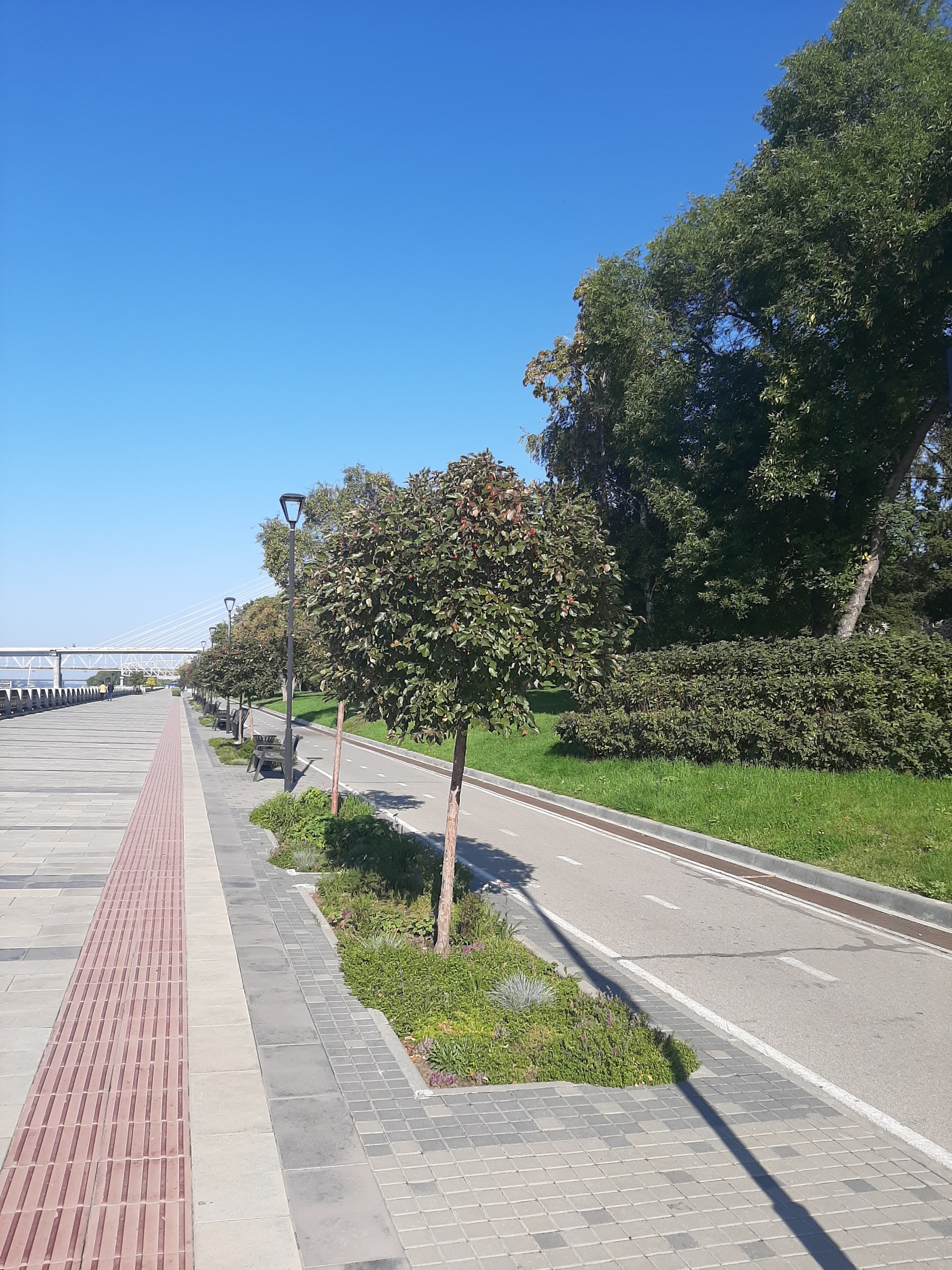 Saturday walk around Novosibirsk: Ob embankment, park and exhibition of captured equipment. Part 1 - My, Autumn, Novosibirsk, Embankment, Ob, Bridge, The park, Exhibition, Trophy, Military equipment, NATO, Tanks, Drone, Drone, Military establishment, Mobile photography, Longpost