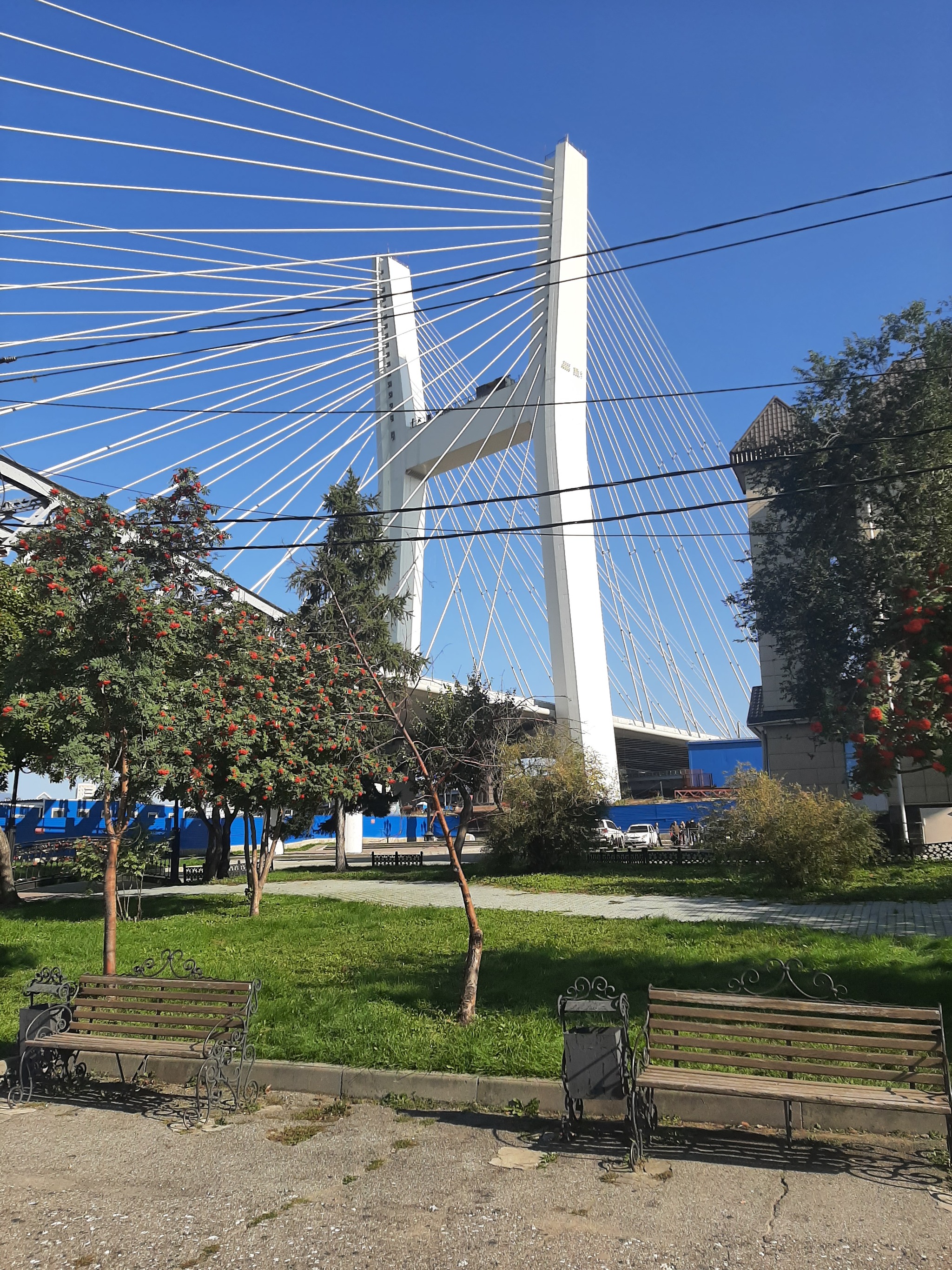 Saturday walk around Novosibirsk: Ob embankment, park and exhibition of captured equipment. Part 1 - My, Autumn, Novosibirsk, Embankment, Ob, Bridge, The park, Exhibition, Trophy, Military equipment, NATO, Tanks, Drone, Drone, Military establishment, Mobile photography, Longpost