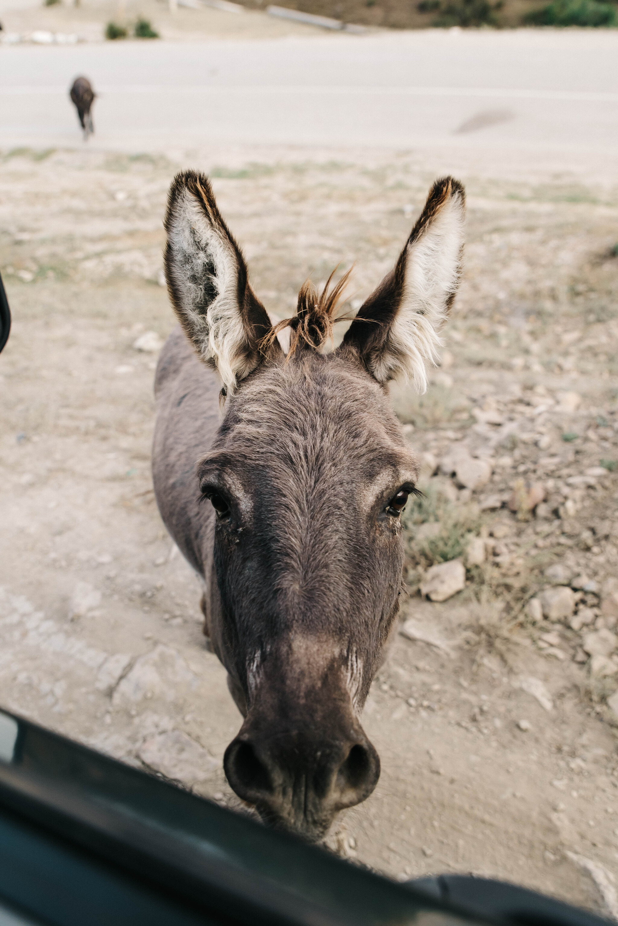 Two weeks of the Caucasus - Caucasus, Kabardino-Balkaria, Road trip, Vacation, Video, Vertical video, Longpost, The photo